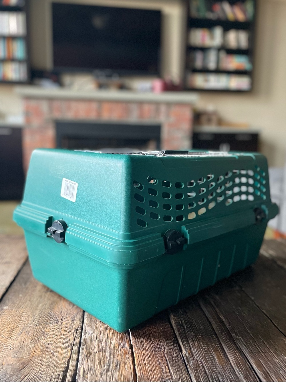 DOUBLE-DOOR Deluxe Pet Carrier in Teal Green - Cat Carrier - Small Dog Carrier - Picture 4 of 16